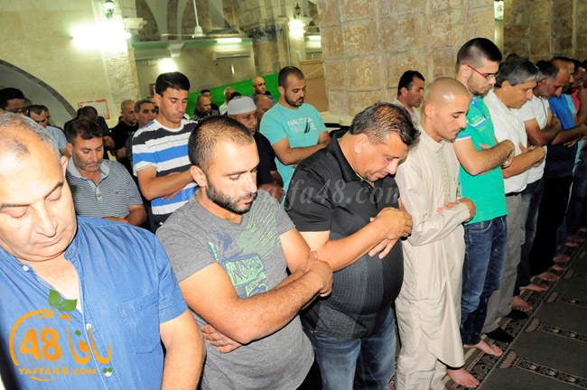 trawe7 ramla kaber (16).JPG